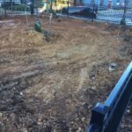 Stanton 2021-10-19 08.22.57 copy