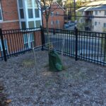 Stanton 2021-10-19 08.23.20 copy