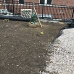 Stanton 2021-12-02 07.58.05 copy