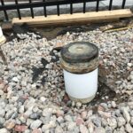 Stanton 2021-12-29 08.48.29 copy