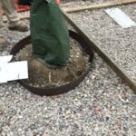 Stanton 2021-12-29 09.52.59 copy