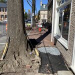 S. Madison Image (2)