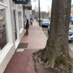 S. Madison Image (20)