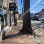 S. Madison image (15)