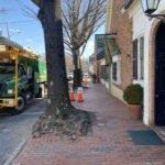 S. Madison image (16)