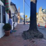 S. Madison image (17)